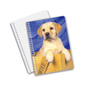Quality China Factory 3D Lenticular Custom offset Printed PET A3/A4/A5/A6 Notebooks for sale