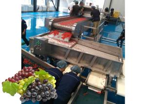 Quality Concentrated Grape Juice Processing Line / Fruit Juice Processing Equipment for sale