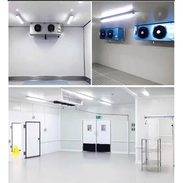 Stainless Steel Inside Wall 40ft x 20ft Dual Temperature Chiller and Freezer Container Cold Room for Storage Reefer Container