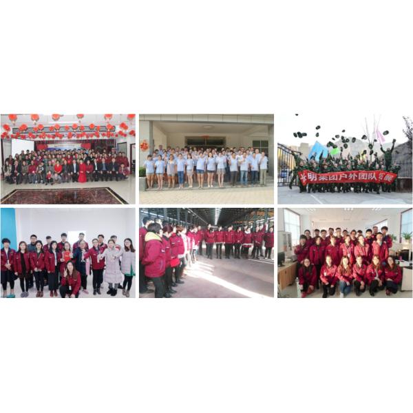 3mm Wire 60*60mm Opeing Twist Edge PVC Coated Chain Link Fence For Farm