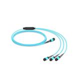 OM3 Trunk MPO MTP Patch Cord 24 Fibers Breakout Patch Cord