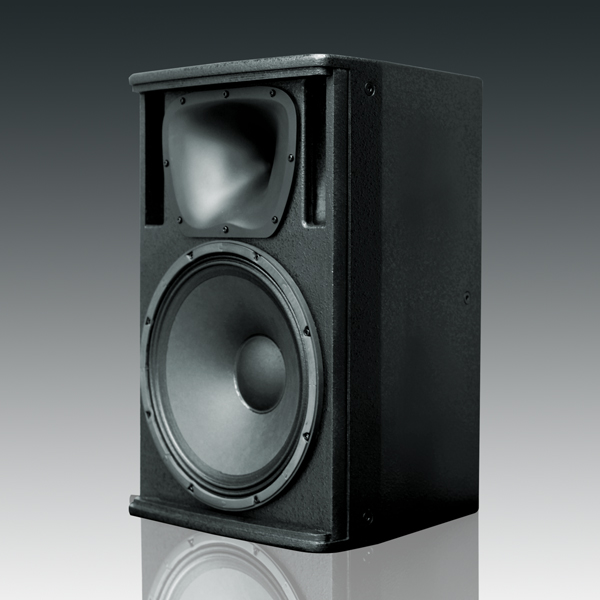 High Power 15 Inch Full Range PA Speakers Lightweight For KTV Sound Reinforcement