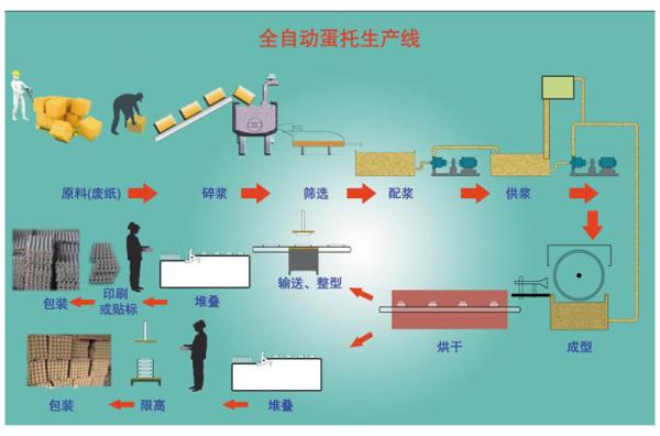 Buy Paper Egg Tray Production Line, Egg Carton Making Machine, mold made to customer request at wholesale prices