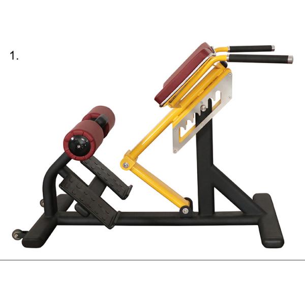 Pro Commercial Gym Rack And Fitness Equipment Roman Ab Exercise Chair