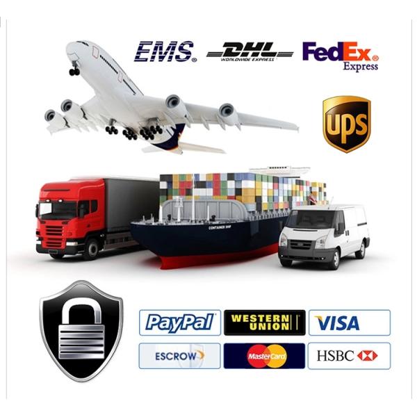 Bluetooth Wireless 2.4G Barcode Scanner 2D qr code reader with charging stand DS6510B-2D