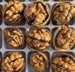 Top quality Thin-skin paper shell Walnut 185 with shell in bulk wholesale from