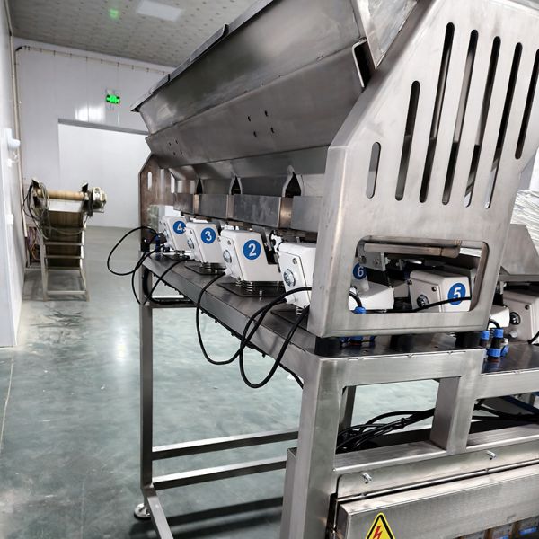 Multifunctional Color Sorter for Dried Seaweed Sheets