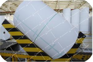 Quality Paper Industry Paper Roll Handling Systems Custom Color With Installations for sale