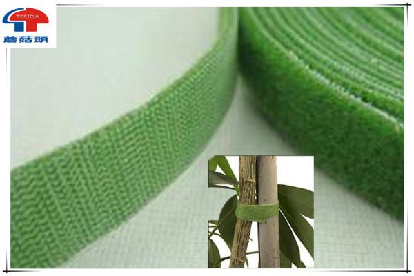 Buy Green Double Sided Hook And Loop Tape , Sticky hook loop tape custom printed at wholesale prices