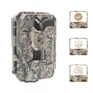 Quality 2.4 Inch Screen HD Hunting Cameras IR LED Full HD 1080P Trail Hunting Camera for sale