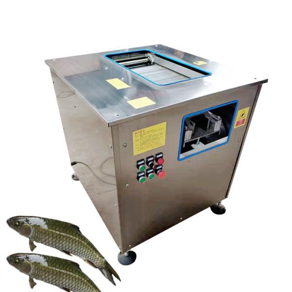 Buy 220V Fish Slicer Meat Processing Machine 0.6t/ H at wholesale prices