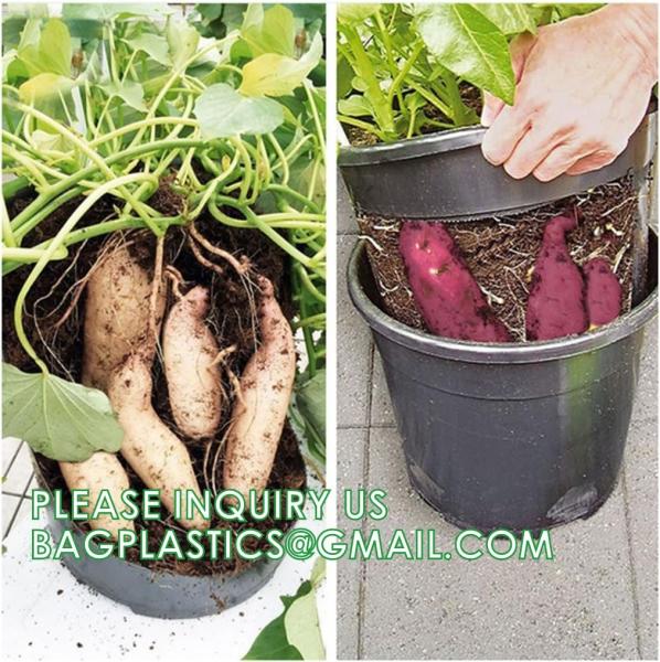 Buy 29cm Potato Planting Pot Nursery Pot For Ginger Peanut Potato Custom 5 7 10 Gallon With Window Open at wholesale prices
