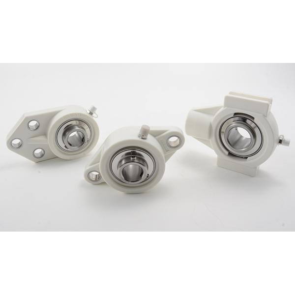 Thermoplastic Flange Pillow Block Bearing Stainless Steel Insert Bearings SS UCFLPL204