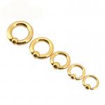 BODY PUNK Piercing Earring Ring Ear Stretcher Expander Weights BCR Gold Captive
