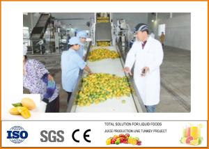China CFM-M-03-03T 3T/H Mango Processing Line Professional and High Efficiency on sale