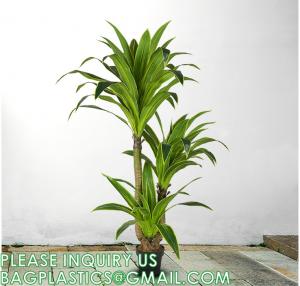 Quality Dracaena Silk Plant Artificial 5ft Faux House Plants Evergreen Dracaena Marginata Fake Yucca Palm Trees in Pot for sale