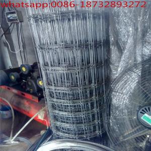 China or sale rabbit cage wire roll/feild fenc/gi wire mesh,knitted hinge joint cattle wire mesh field fence on sale