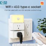 Tuya socket Power Monitor Plug APP Voice Works with Alexa Google Home Smart Type