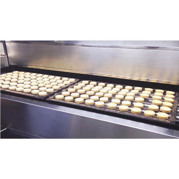 Tunnel Oven Cake Bread Large Scale Commercial Production Line Food Baking Equipment