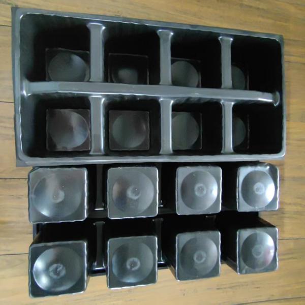 PP 8 Cell Black Seedling Tray Microgreen Plastic Agriculture Seedling Trays