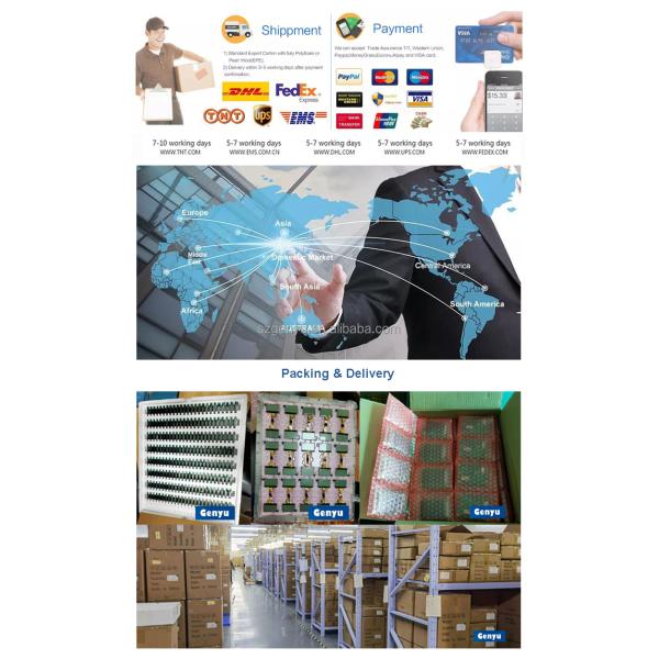 Control/Drive IC comptaible VA HTN Blue Green Backlight COB Segment LCD Module for Customized UPS Inverter Display Panel