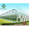 8m 10m Multi Span Greenhouse For Plant Fruits Vegetables Flowers for sale