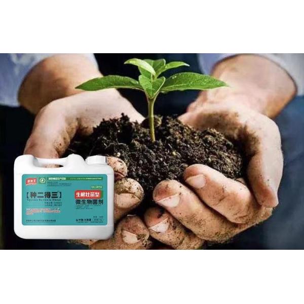 Organic Soil Conditioner Microbial Fermented Fertilizer