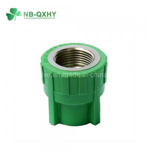 China PP-R Normal Green Pipe Fitting Connector Female Brass Insert Coupling for Benefit on sale
