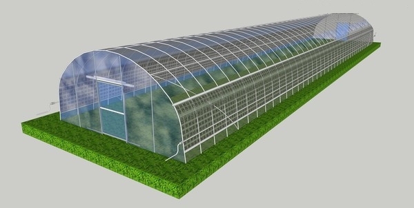 Small Area Single Tunnel Greenhouse Easy Install For Nursery / Flower Farming
