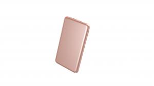 China Unique USB C fast charging Type-C 4000mAh power bank Gold color on sale