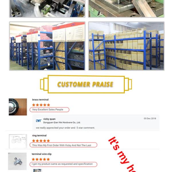 Pre-Insulated Crimp Fork Terminal Continuous Insulated Copper Lugs Terminal for Awg14-12