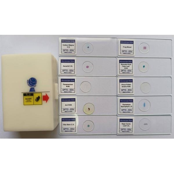 OPTO-EDU A33.5130 7" LCD Digital Microscope 55x-550x Magnification 8.0M CMOS