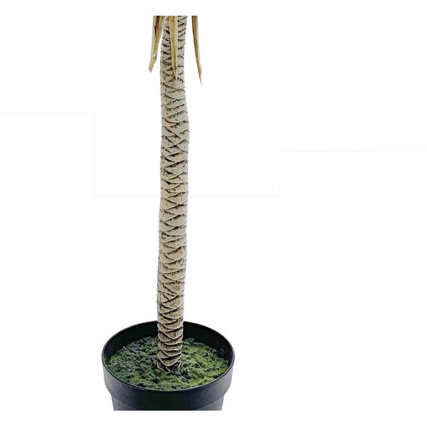 Greenery Sago Palm Single Pole Artificial House Plants 122 CM 152 CM 180 CM