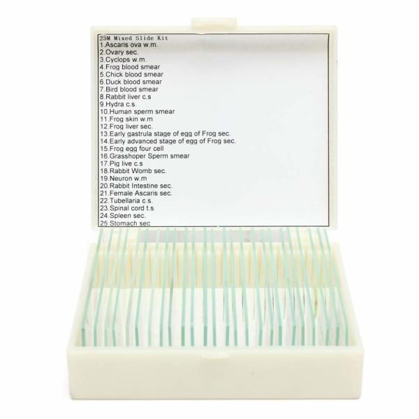 Buy Lab Research Plastic Box 25pcs Pre Prepared Microscope Slides at wholesale prices