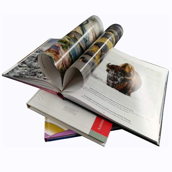 Buy Custom Creat Own Cookbook Printing Services With Vanish Lamination at wholesale prices