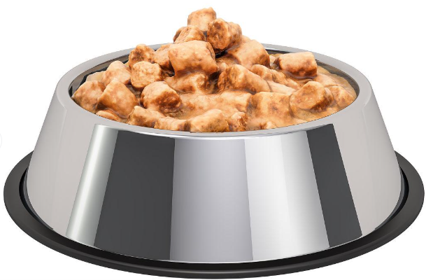 Professional Pet Food Processing Line / Machinery For Animal Food