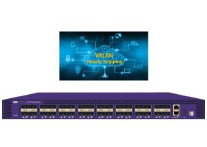 Quality Network Packet Broker Http Network Sniffer VXLAN Header Stripping VXLAN Forwarding for sale