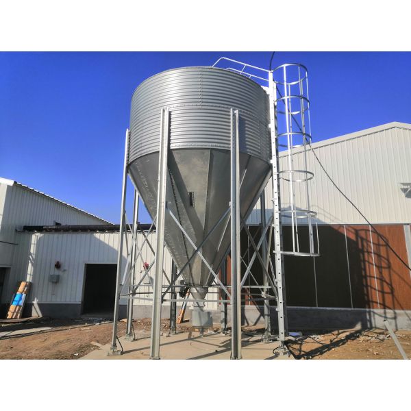 Industrial Steel Structural Buildings Prefabricated Steel Poultry House Customized