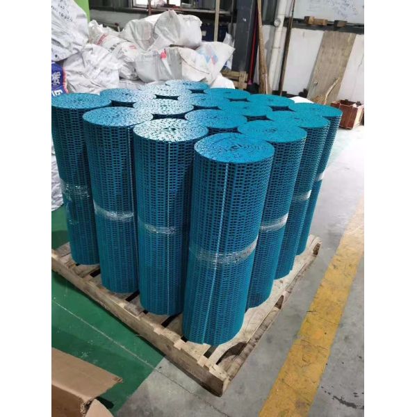 Pitch 25.4mm 1000 Series Straight Running POM Plastic Modular Belt