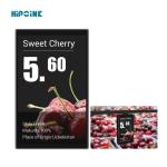 10.1 inch Full Color LCD TFT Display for Electronic Shelf Label with High