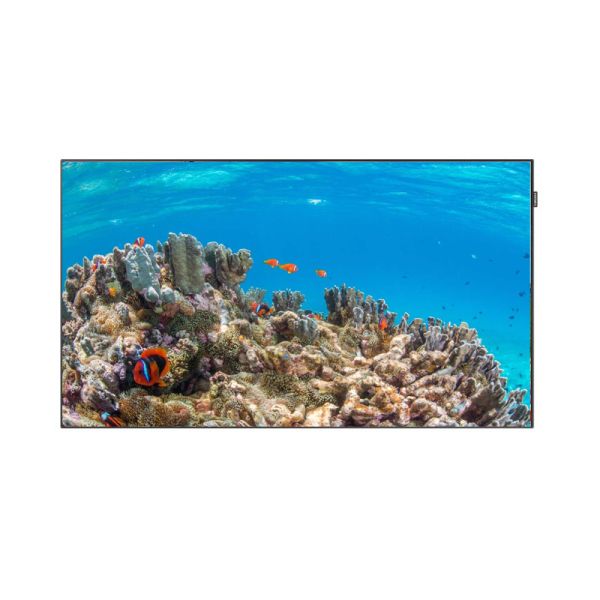 Sunlight Readable AGLR 43" Facing Lcd Digital Signage VGA HDMI