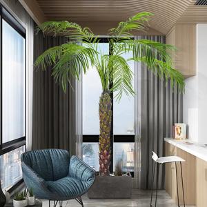 China Dorm Room 3 Meter Artificial Potted Floor Plants Phoenix Palm Tree Plants on sale