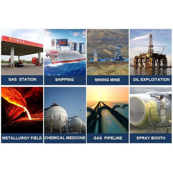 Zetron ZT100K Diffusion Type  Portable Single Gas Detector with High Sensitivity 4