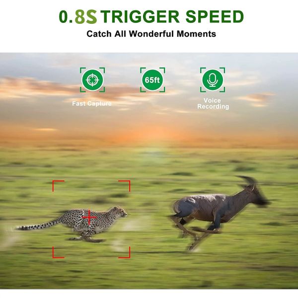 2.0" Hunter Trail Camera Outdoor Wildlife Video Camera micro sd 128gb