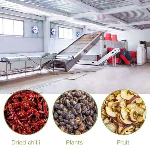 Eco Multi Layer Continuous Belt Dryer Automation OEM