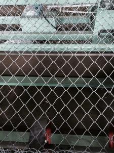 Quality High Speed PLC control Full Automatic double wire Chain Link Fence Machine for Diamond Mesh for sale