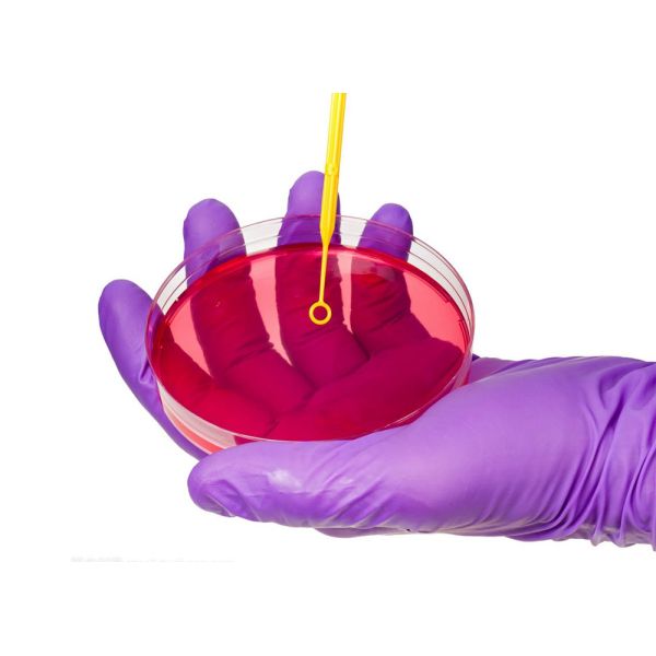 Disposable Microbiology Plastic 1ul 10ul Inoculating Loop With Needle Cell