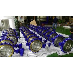 Class 600 Bidirectional 120 Inch Industrial Butterfly Valve