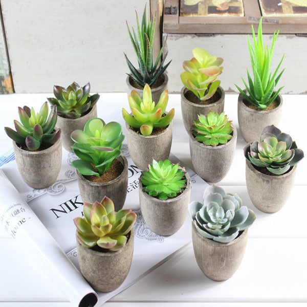 Mini Succulent Artificial Potted Plants Strange Shape Green Platsic Material