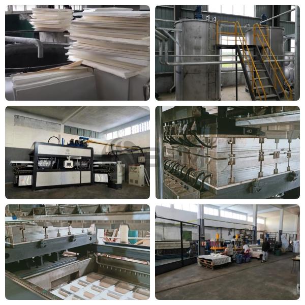 Fully Automatic Pulp Molding Tableware Machine Paper Tray Machine Production Line